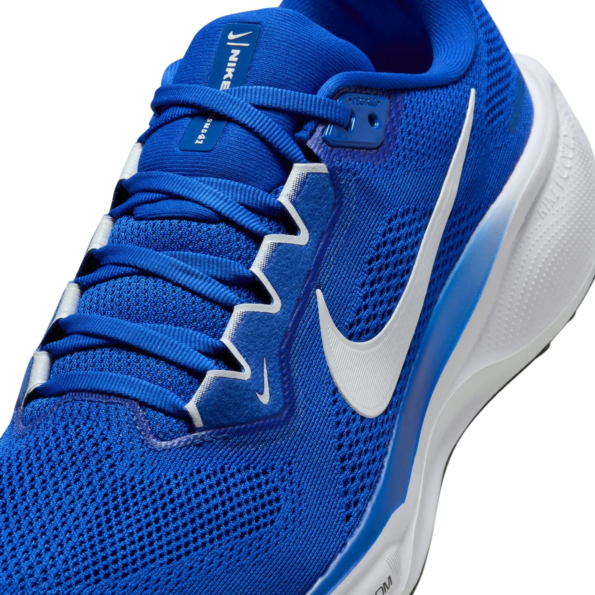 Air Zoom Pegasus 41 TB