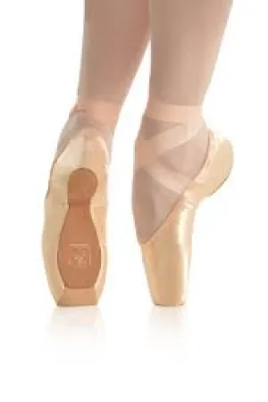 Gaynor Minden Pointe Shoes