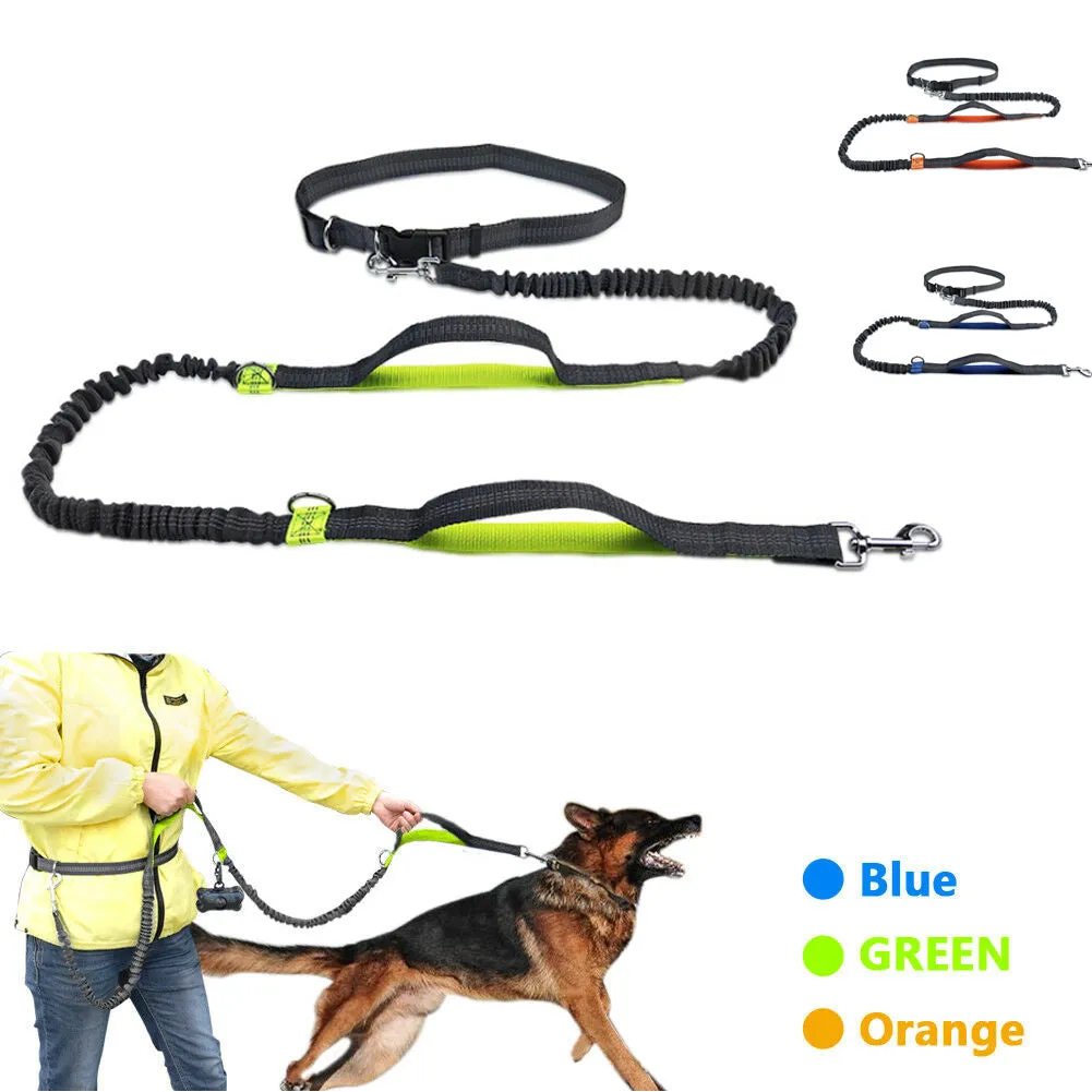 Hands-Free Jogging Leash