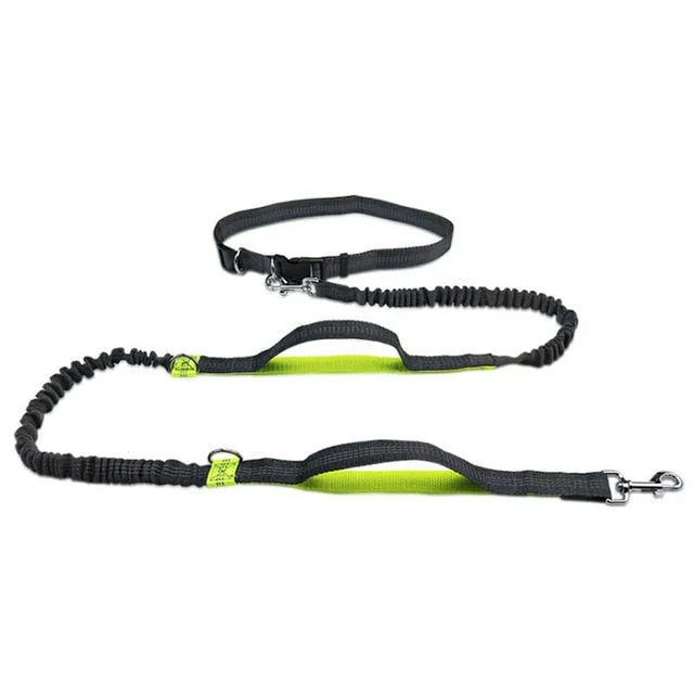 Hands-Free Jogging Leash