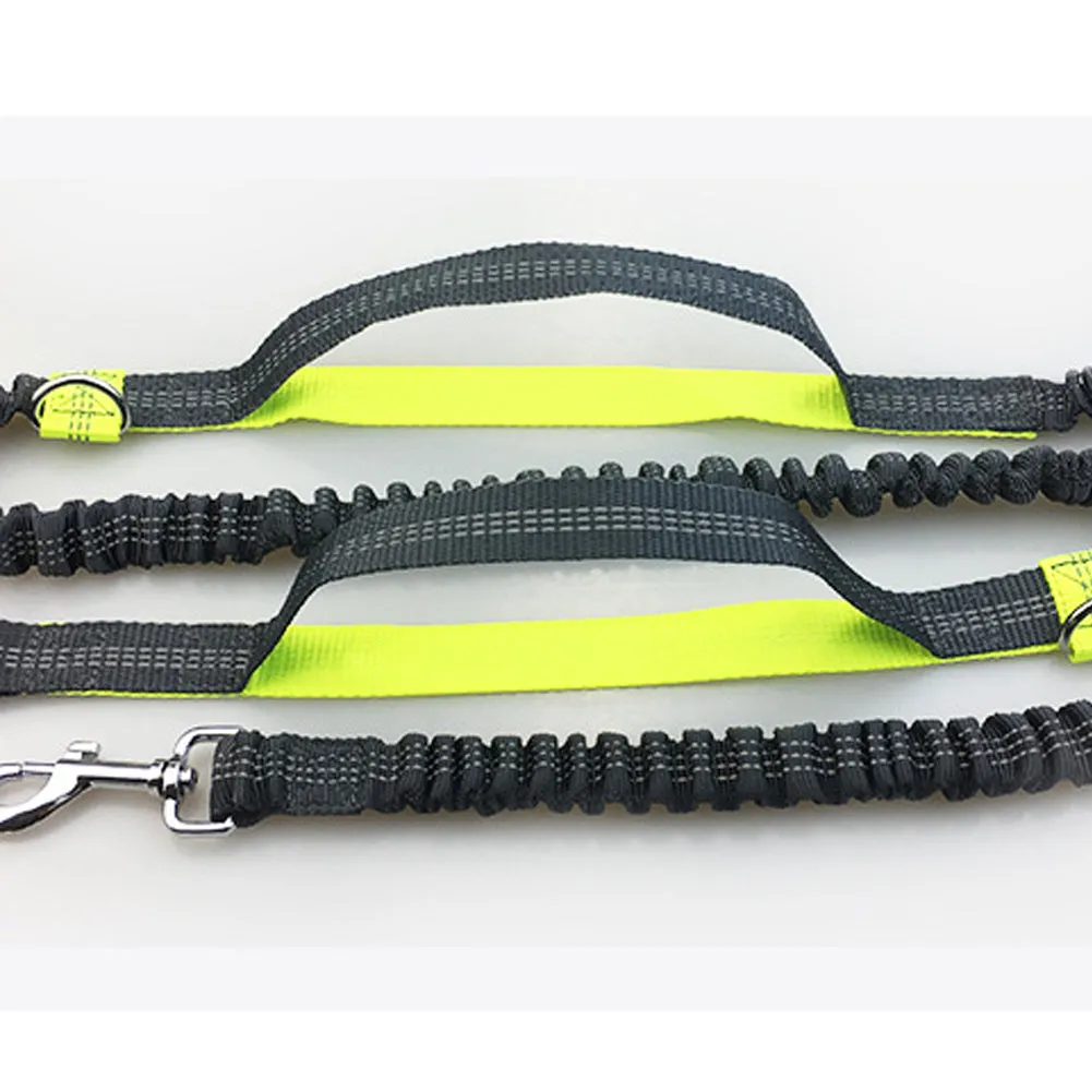 Hands-Free Jogging Leash