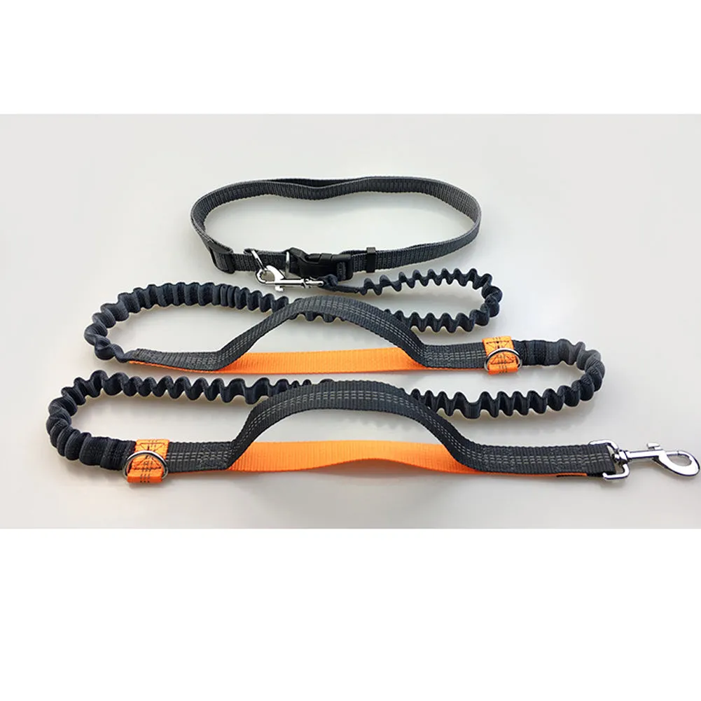 Hands-Free Jogging Leash