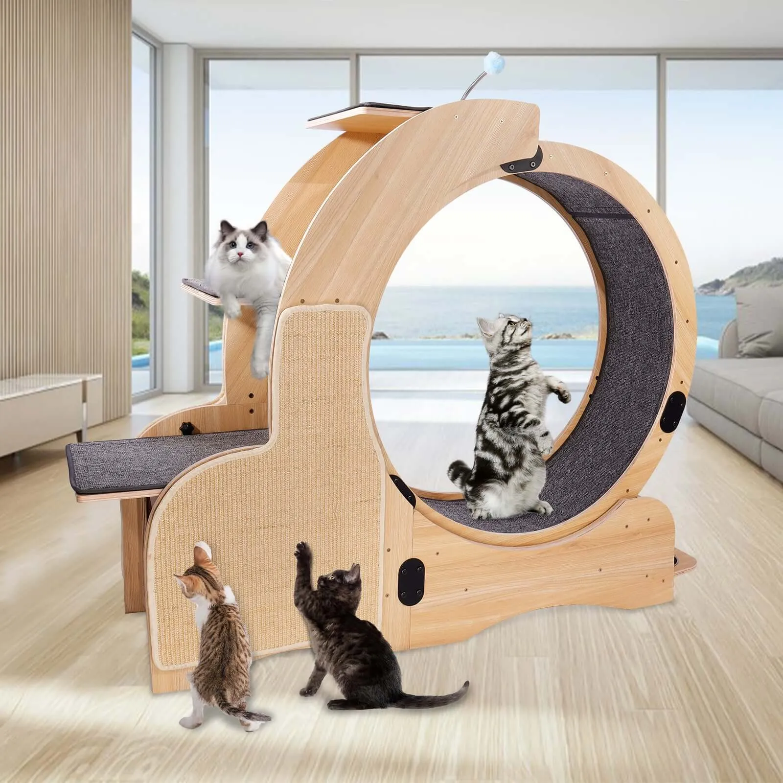 Premium Cat Running Wheel & Activity Center