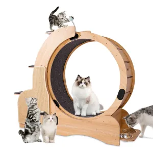 Premium Cat Running Wheel & Activity Center