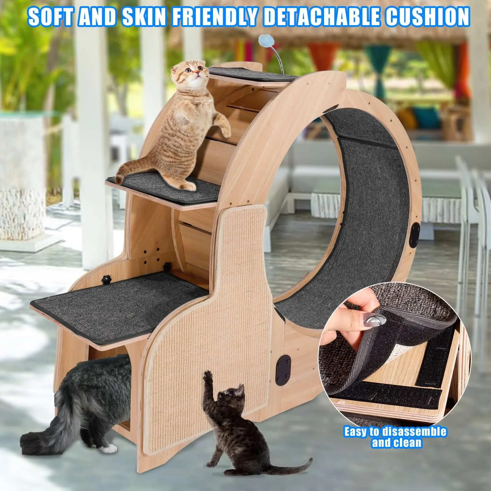 Premium Cat Running Wheel & Activity Center