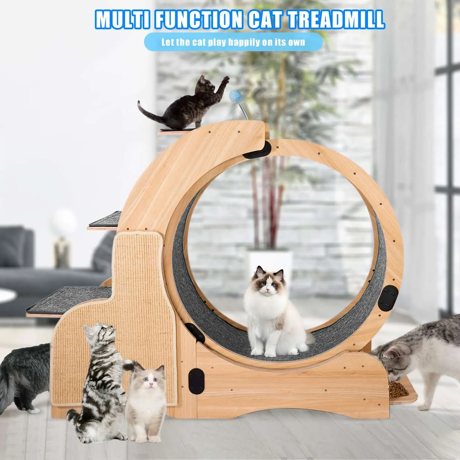 Premium Cat Running Wheel & Activity Center