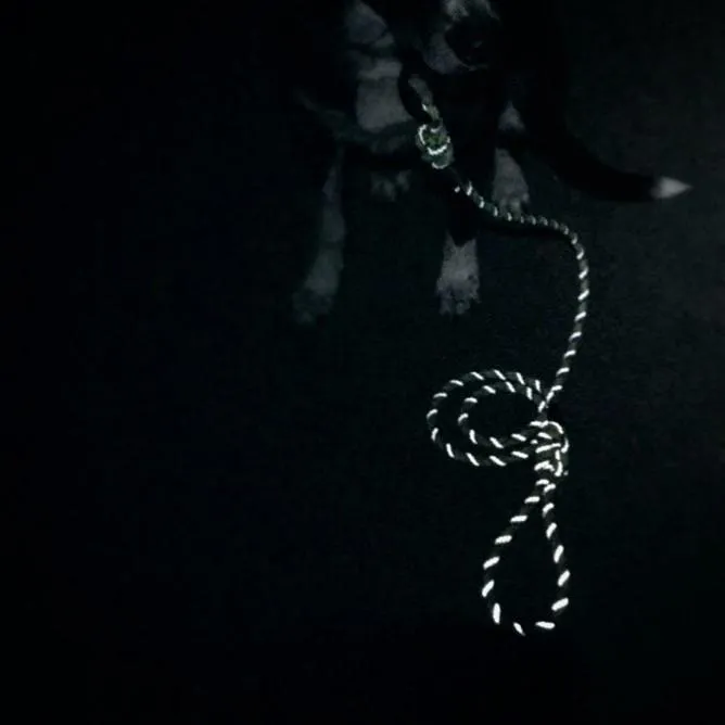 Razzleberry Reflective Leash