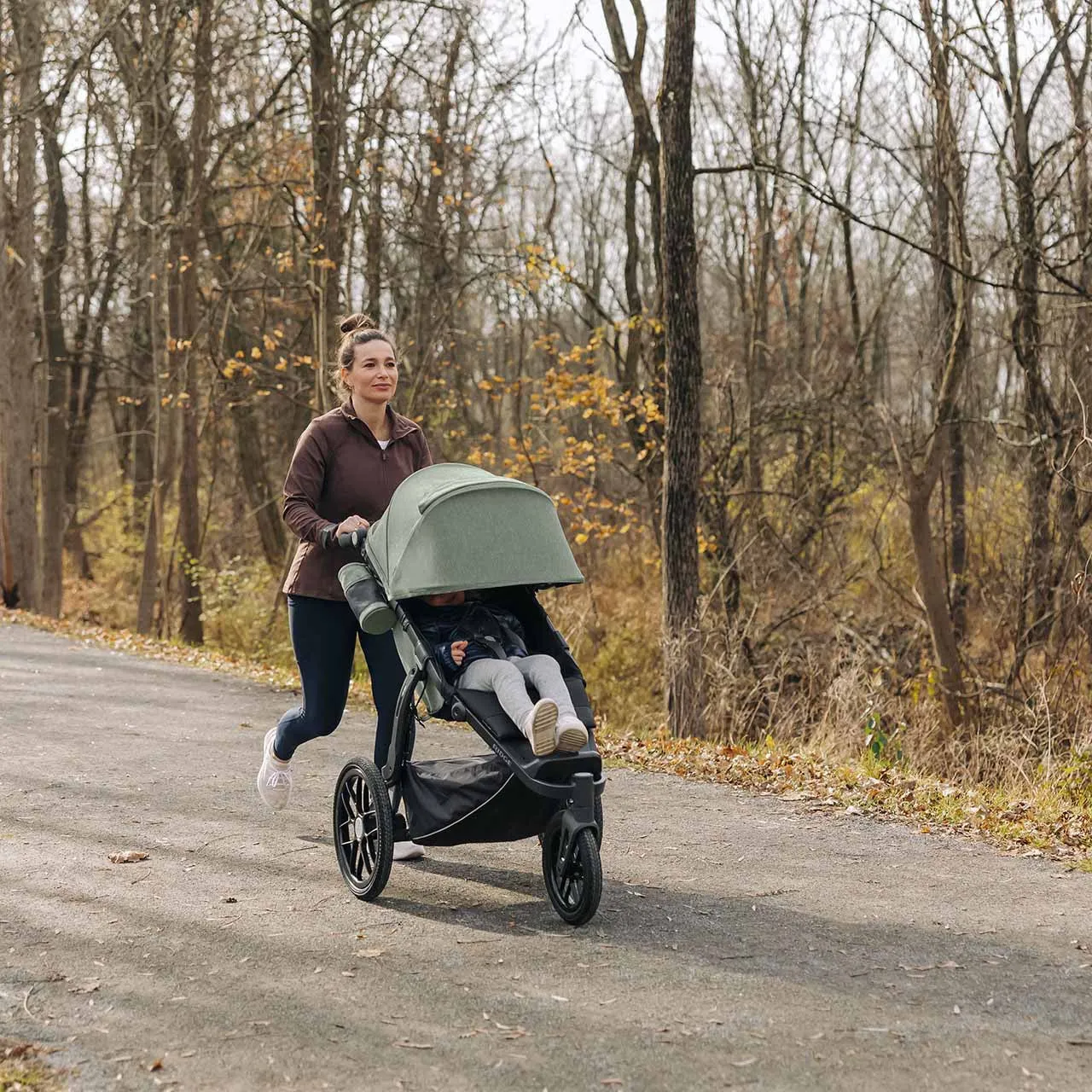 UPPAbaby Ridge All-Terrain Stroller